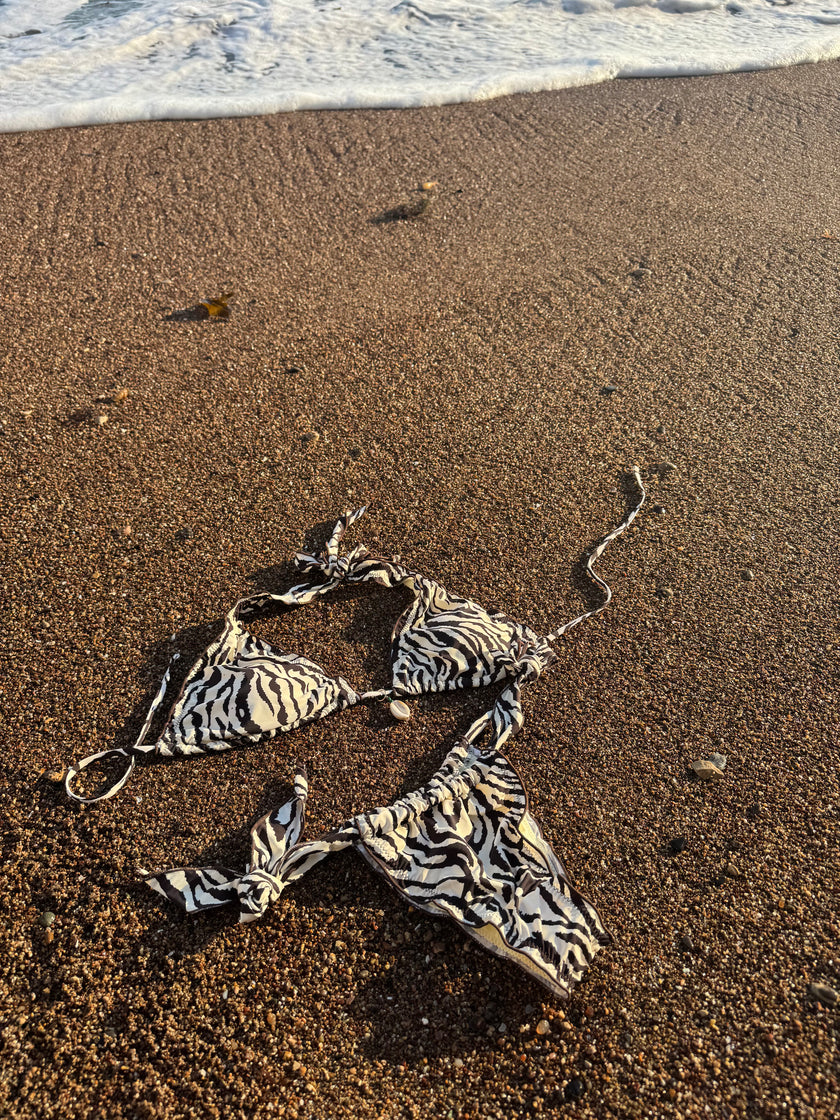 Mesa Bikini Set