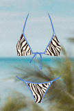 Dune Bikini Set